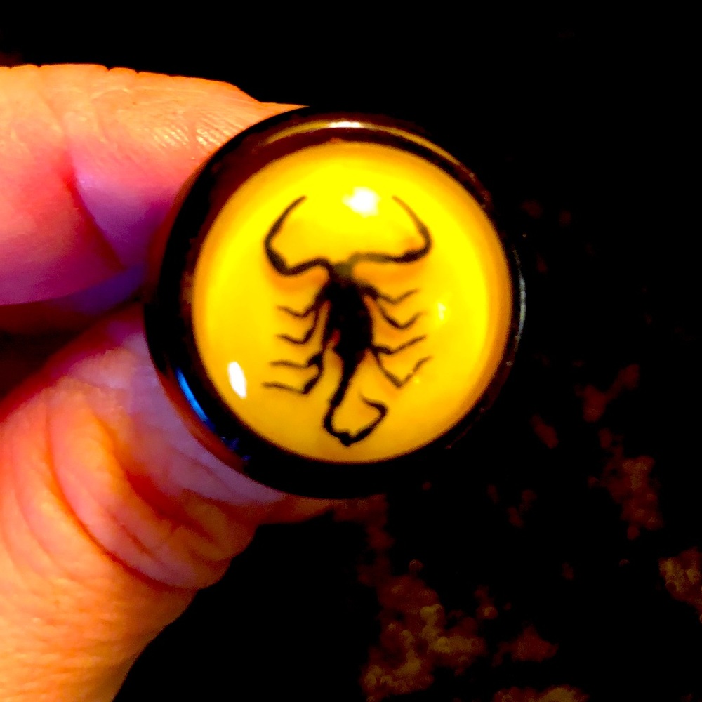 Real scorpion ring. 🦂💛